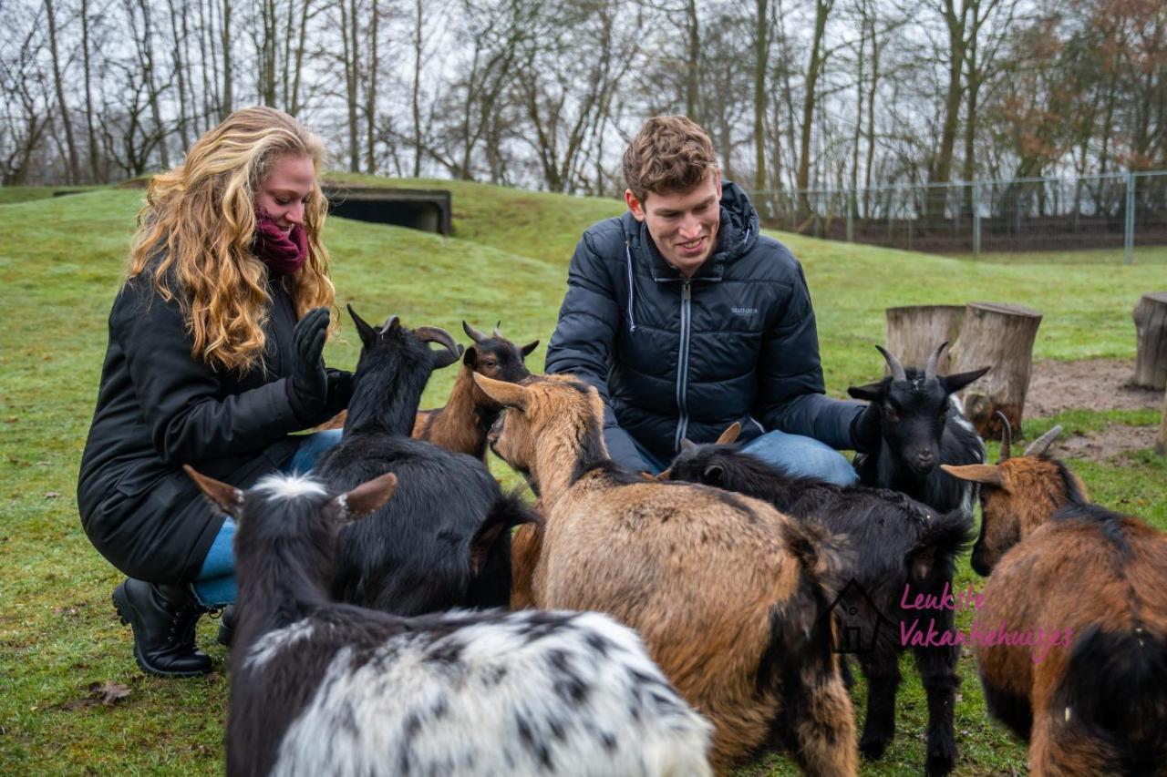 Het Familie Boshuisje - Vakantiewoning Op Prachtig Park Met Veel Faciliteiten Inc Ligbad Gramsbergen Bagian luar foto